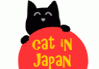 Cat in Japan