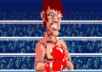 Iron Mikes Punchout