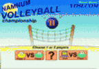 Namnum Volleyball II