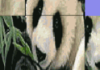 Pandas Slider Puzzle