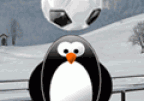 Penguin Soccer Star
