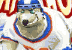 Polar Hockey