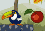 Toucan In The Jungle