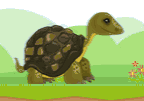 Turtle Run