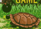 Turtles Battles