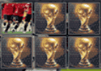WorldCup 2010: Memory Cards
