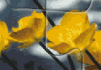 Yellow Flowers Jigsaw
