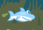 A Little Shark
