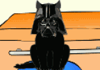 Cat Vader