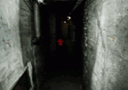 Cellar Door