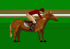 Horse Racing Steeplechase