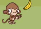 Monkey in Banana