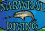 Narwhal Diving