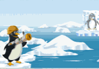 Penguin Salvage