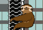 Slipery Sloth