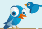 Tweet Birds