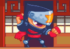 Zippy Ninja